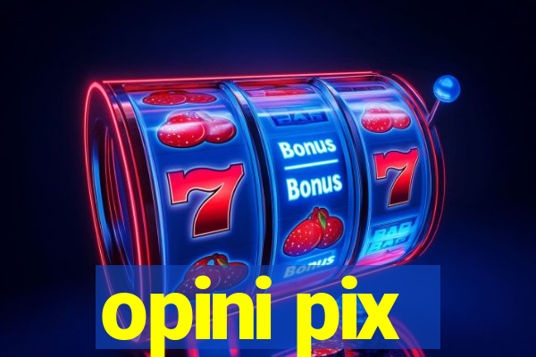 opini pix